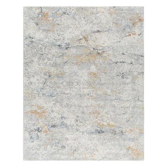 Surya Hassler Hsl-2308 Rug 2'7" X 4'