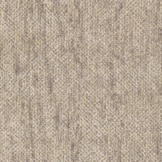Surya Helen Oatmeal Rug 10' X 14'
