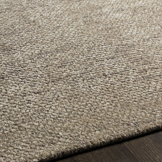 Surya Helen Oatmeal Rug 2' X 3'