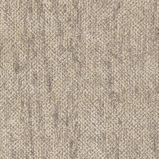 Surya Helen Oatmeal Rug 2' X 3'