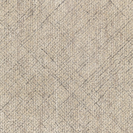 Surya Helen Gray Rug 6' X 9'