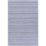 Surya Irvine Denim Rug 2' X 3'