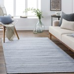 Surya Irvine Denim Rug 2' X 3'