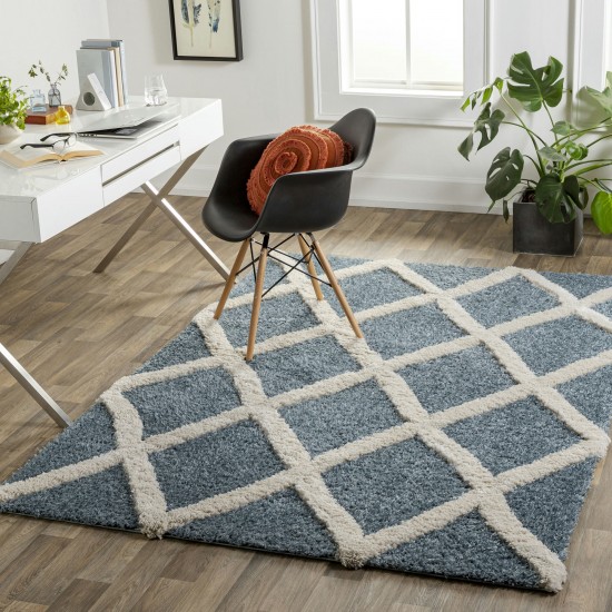 Surya Hudson Shag Hds-2301 Rug 5'3" X 7'