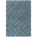 Surya Hudson Shag Hds-2302 Rug 7'10" X 10'