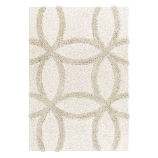 Surya Hudson Shag Hds-2303 Rug 5'3" X 7'