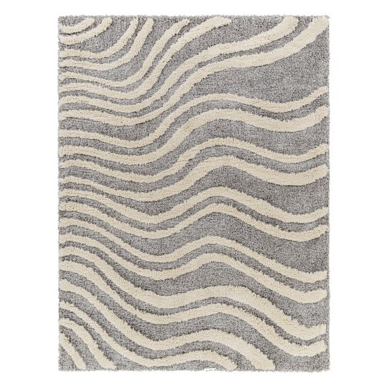 Surya Hudson Shag Hds-2307 Rug 5'3" X 7'