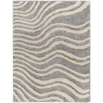 Surya Hudson Shag Hds-2307 Rug 7'10" X 10'