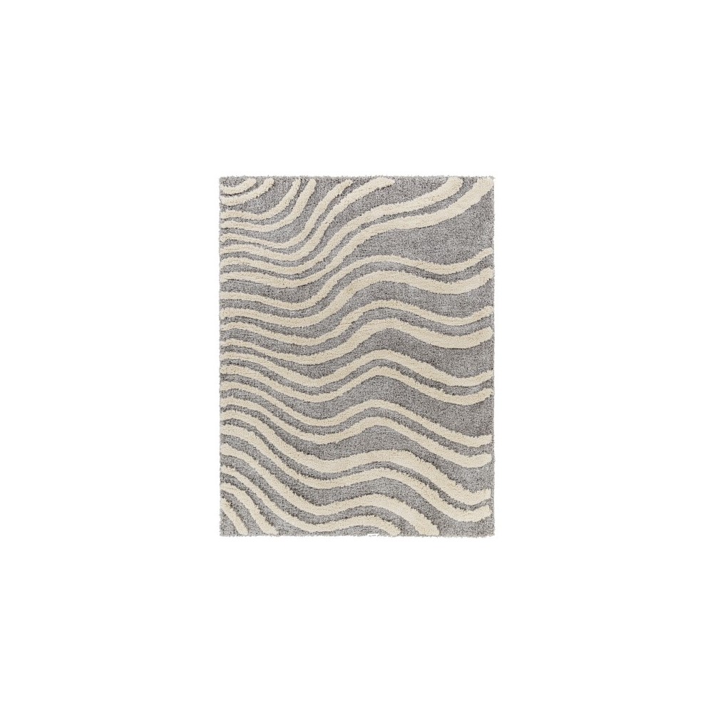 Surya Hudson Shag Hds-2307 Rug 7'10" X 10'