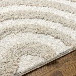 Surya Hudson Shag Hds-2308 Rug 5'3" X 7'