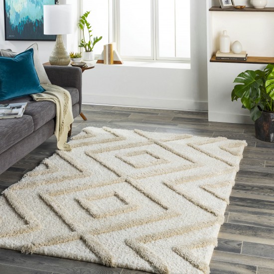 Surya Hudson Shag Hds-2309 Rug 5'3" X 7'