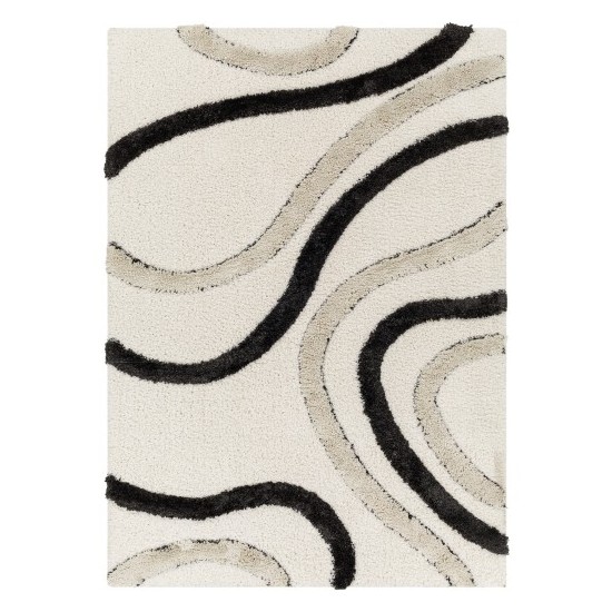 Surya Hudson Shag Hds-2312 Rug 5'3" X 7'