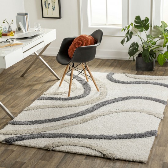 Surya Hudson Shag Hds-2313 Rug 5'3" X 7'