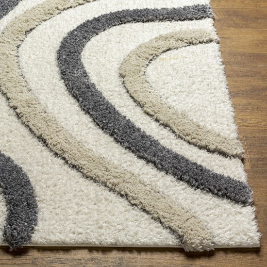 Surya Hudson Shag Hds-2313 Rug 7'10" X 10'