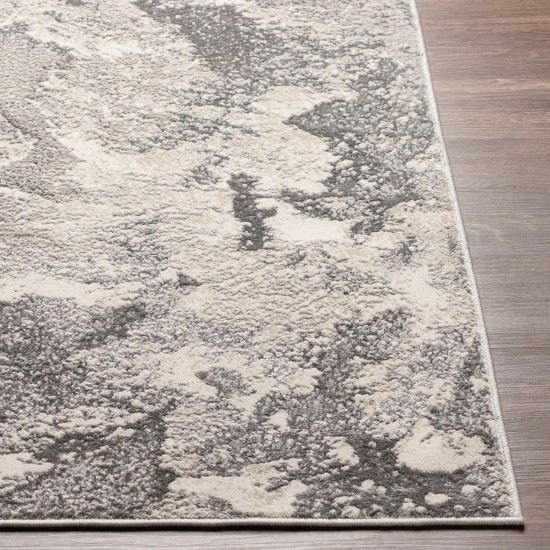 Surya Impulse Ips-2301 Charcoal Rug 4'3" X 5'11"