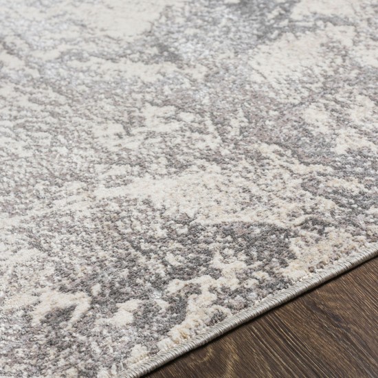 Surya Impulse Ips-2301 Charcoal Rug 5'3" X 7'3"