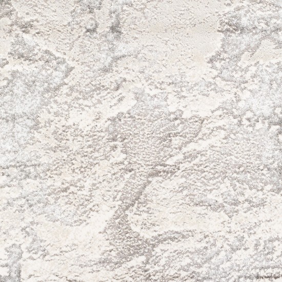 Surya Impulse Ips-2301 Charcoal Rug 5'3" X 7'3"