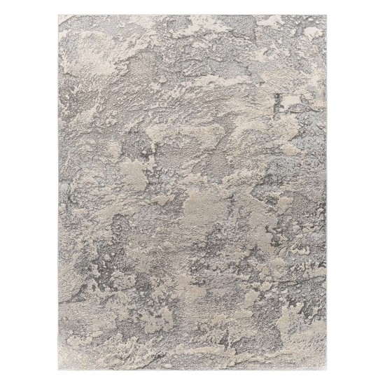 Surya Impulse Ips-2301 Charcoal Rug 7'10" X 10'