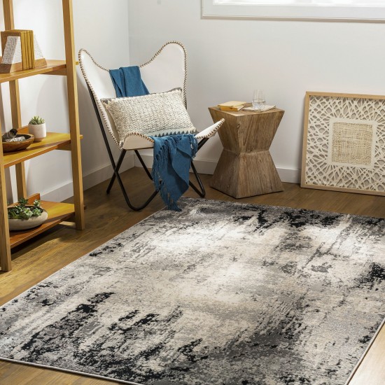 Surya Impulse Ips-2302 Charcoal Rug 4'3" X 5'11"