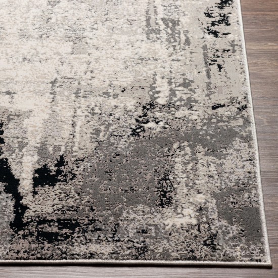 Surya Impulse Ips-2302 Charcoal Rug 4'3" X 5'11"