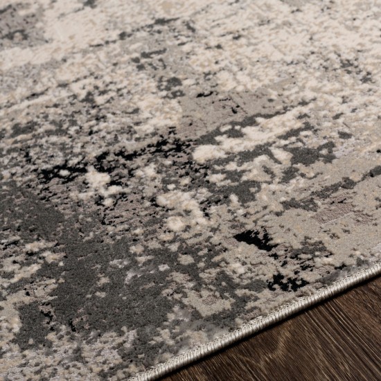Surya Impulse Ips-2302 Charcoal Rug 4'3" X 5'11"