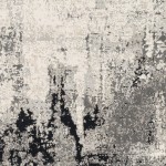 Surya Impulse Ips-2302 Charcoal Rug 4'3" X 5'11"