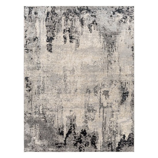 Surya Impulse Ips-2302 Charcoal Rug 7'10" X 10'