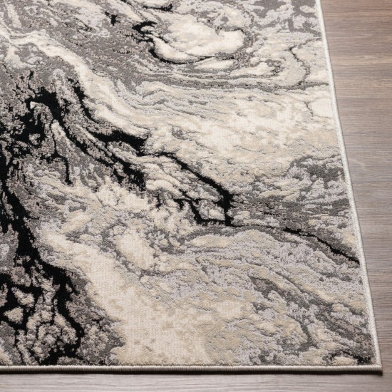 Surya Impulse Ips-2304 Black Rug 2' X 3'