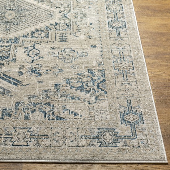 Surya Impulse Ips-2307 Deep Teal Rug 4'3" X 5'11"