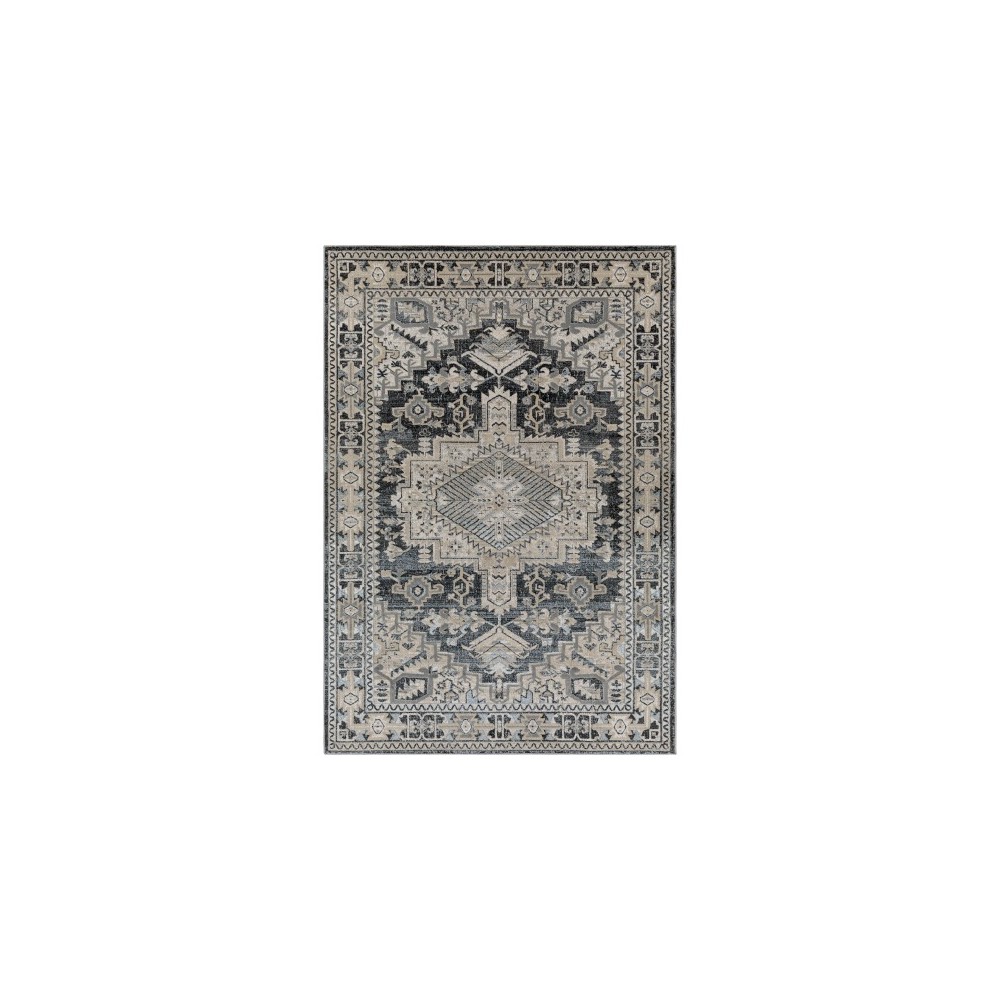 Surya Impulse Ips-2308 Taupe Rug 2' X 3'