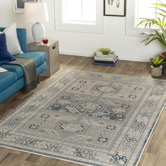 Surya Impulse Ips-2314 Light Beige Rug 2' X 3'