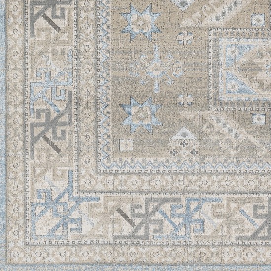 Surya Impulse Ips-2314 Light Beige Rug 4'3" X 5'11"