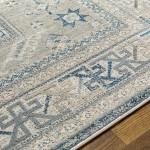 Surya Impulse Ips-2314 Light Beige Rug 5'3" X 7'3"
