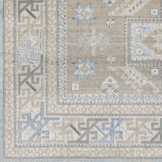Surya Impulse Ips-2314 Light Beige Rug 5'3" X 7'3"