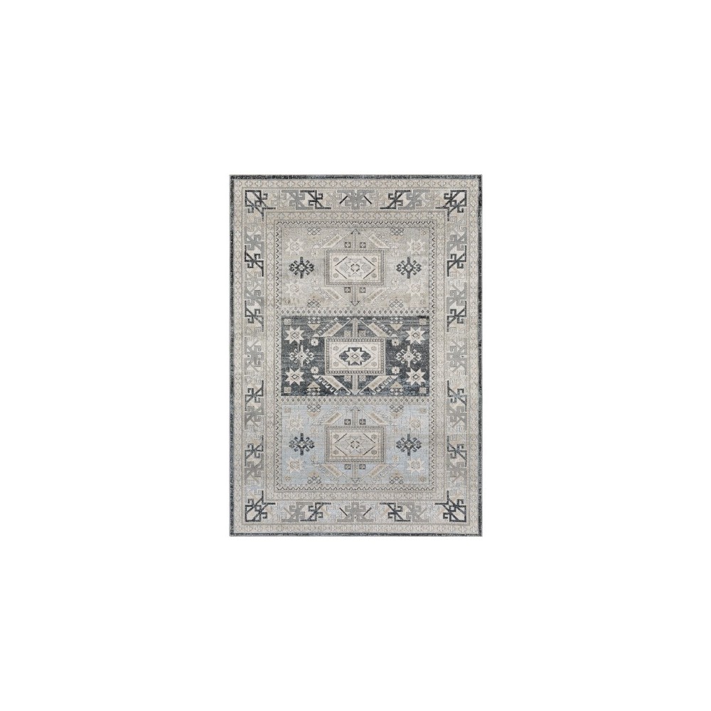 Surya Impulse Ips-2315 Taupe Rug 4'3" X 5'11"