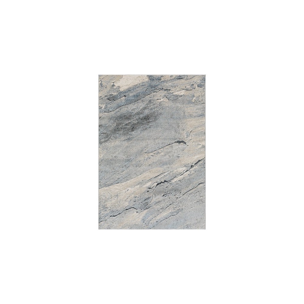 Surya Impulse Ips-2317 Gray Rug 2' X 3' Surya Impulse Ips-2317 Gray Rug 2' X 3'