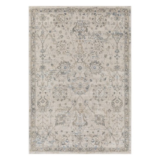 Surya Impulse Ips-2318 Light Beige Rug 2' X 3'