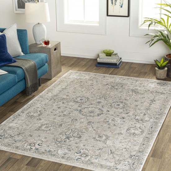 Surya Impulse Ips-2318 Light Beige Rug 2' X 3'