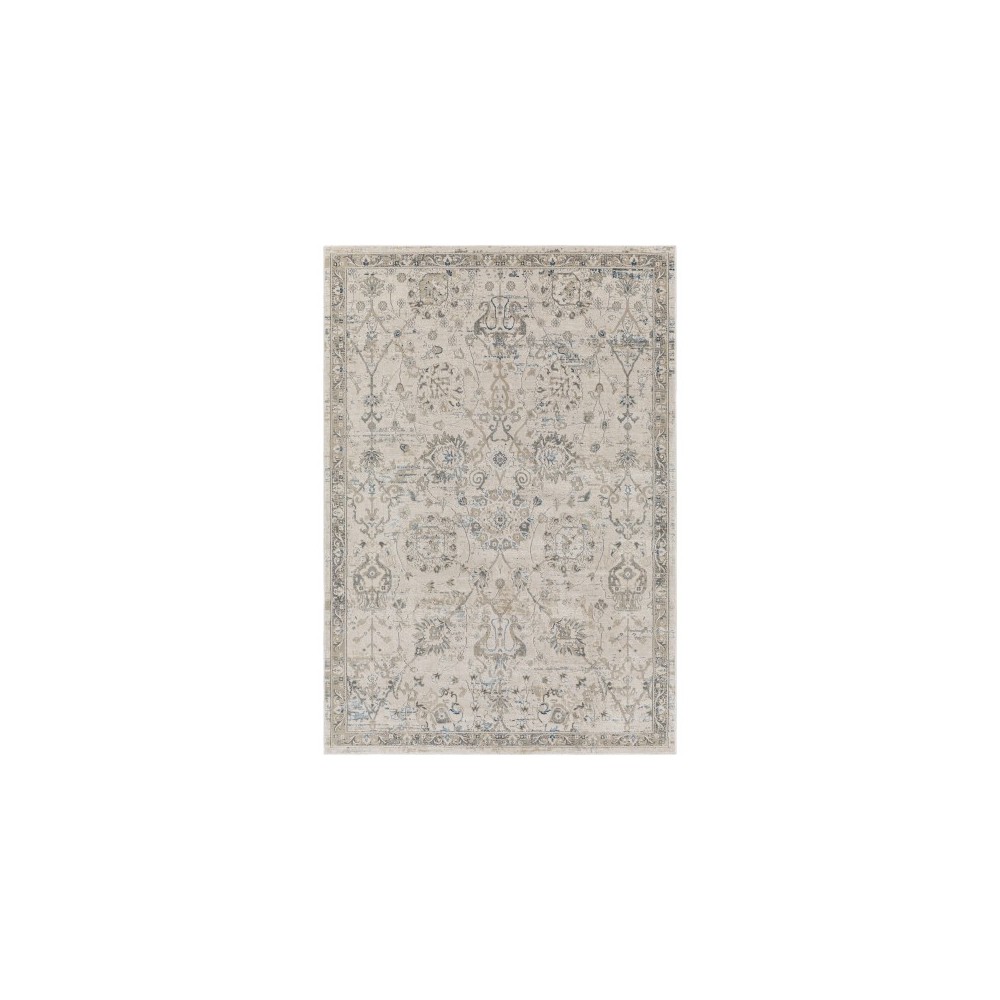 Surya Impulse Ips-2318 Light Beige Rug 4'3" X 5'11" Surya Impulse Ips-2318 Light Beige Rug 4'3" X 5'11"