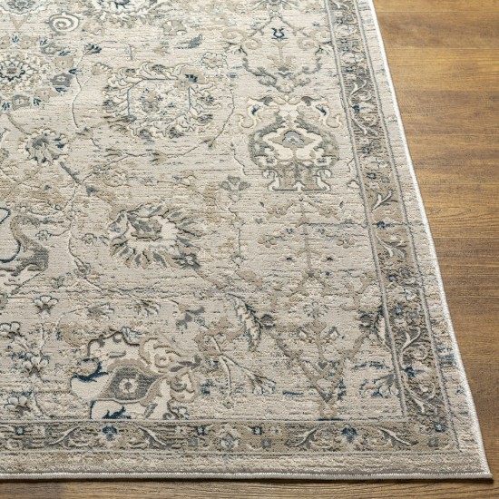 Surya Impulse Ips-2318 Light Beige Rug 4'3" X 5'11"