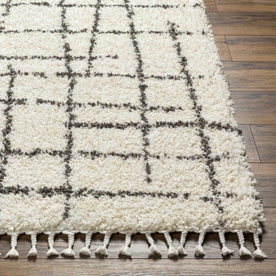 Surya Jakarta Jkt-2300 Rug 7'10" X 10'