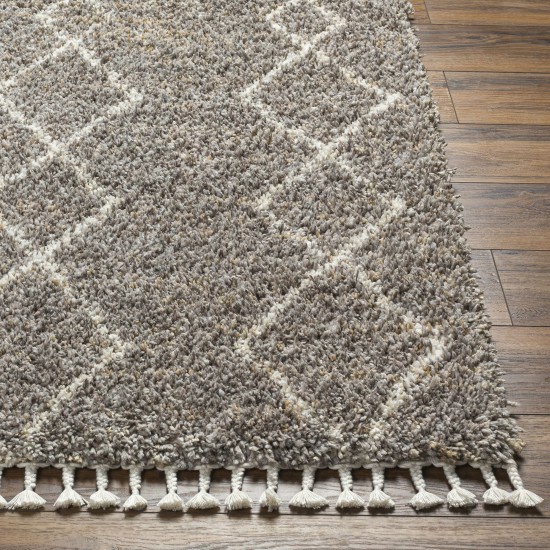 Surya Jakarta Jkt-2303 Rug 6'7" X 9'