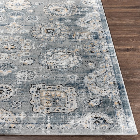 Surya Jolie Jlo-2323 Gray Rug 9' X 12'