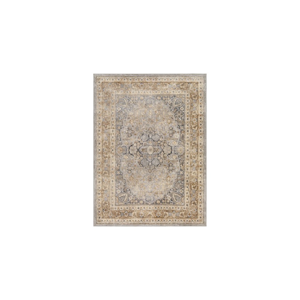 Surya Katmandu Kat-2319 Rug 7'10" X 10'2" Surya Katmandu Kat-2319 Rug 7'10" X 10'2"