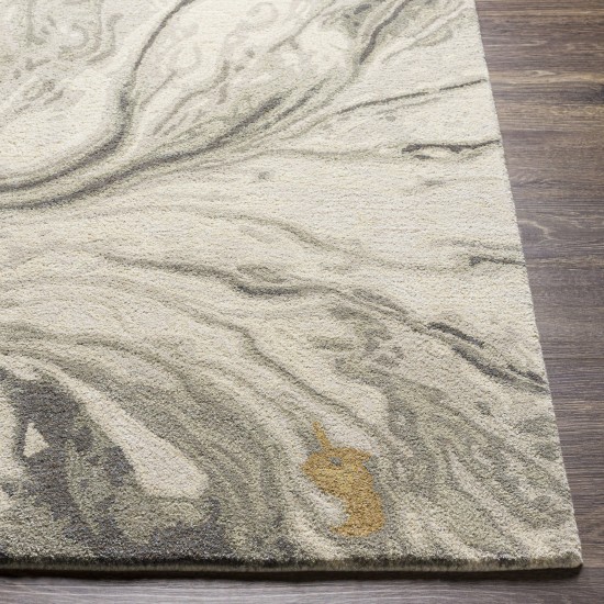 Surya Kavita Brown Rug 2' X 3'