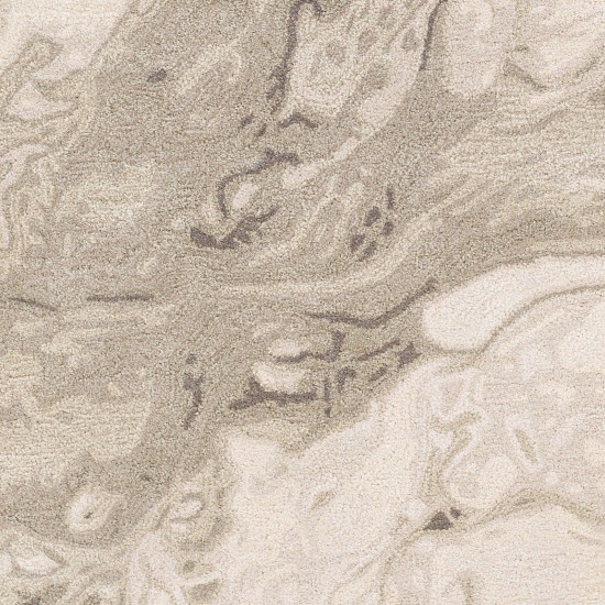 Surya Kavita Brown Rug 2' X 3'