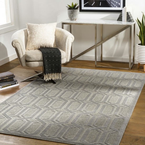 Surya Kingston Gray Rug 2' X 3'