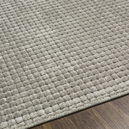 Surya Kingston Kgs-2310 Light Slate Rug 3'11" X 5'7"