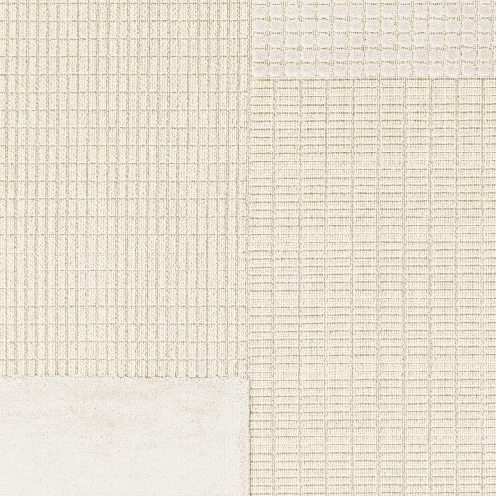 Surya Kingston Kgs-2311 Cream Rug 2' X 3'