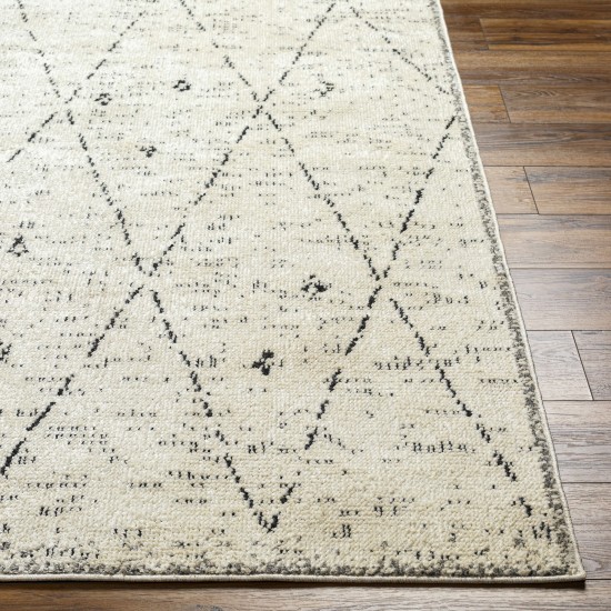 Surya La Boheme Lhb-2304 Rug 2'2" X 3'9"